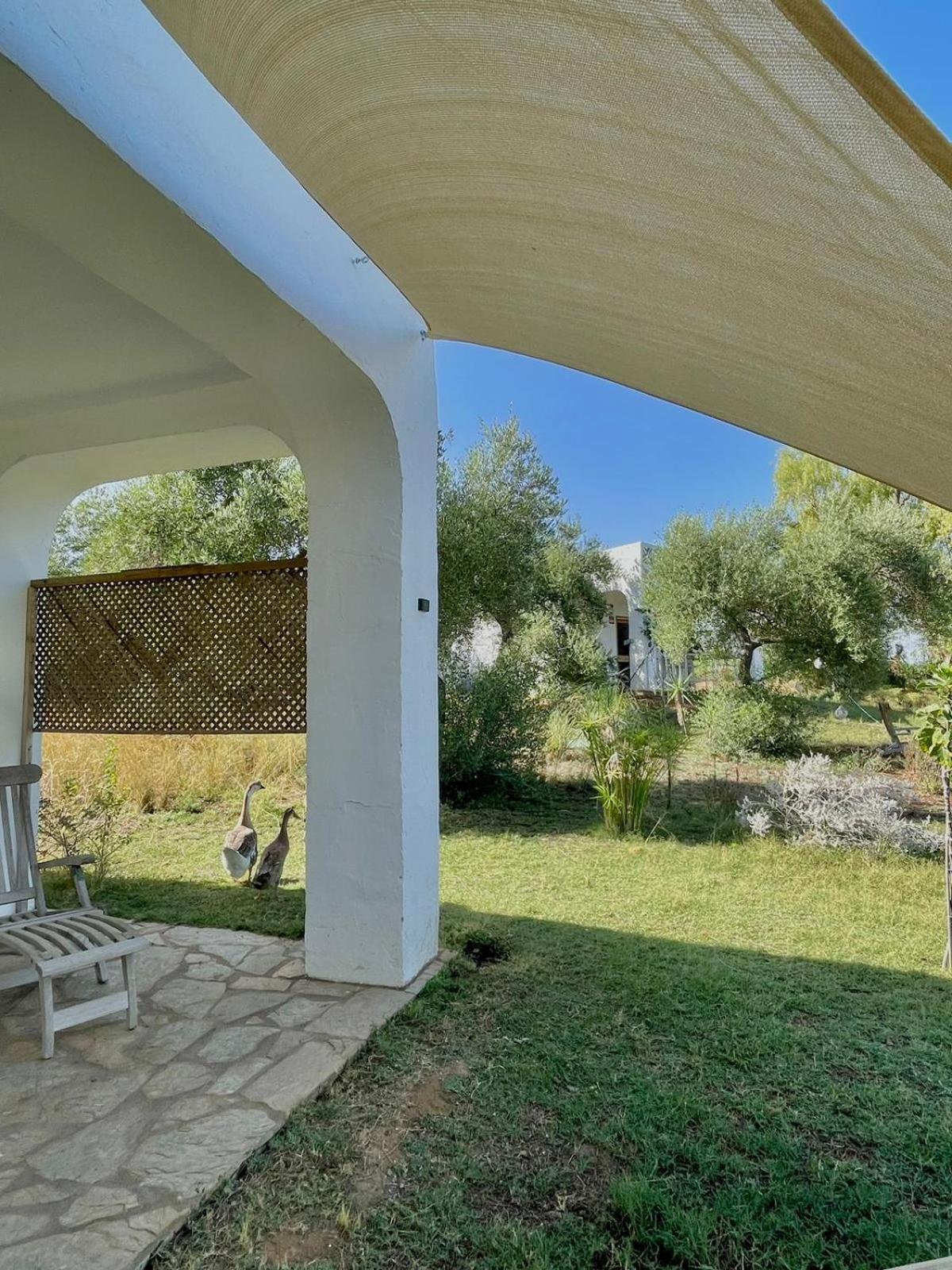 Bungalow -Escapadas En Arcos De La Frontera Exterior photo